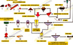 Gold ore processing plant